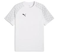 Puma Mens TeamLIGA 26 T Shirt Jersey DryCELL Football Top Tee S-3XL