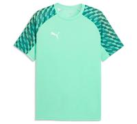 Puma Mens TeamLIGA 26 T Shirt Jersey DryCELL Football Top Tee S-3XL
