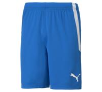 PUMA Teamliga Football Shorts Men, Electric Blue/White, size XS