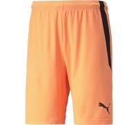 Puma Mens Teamliga Shorts Football in Neon/Black - Orange - Size Small