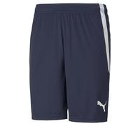 PUMA Men's Teamliga 8" Shorts, Peacoat/White, XL
