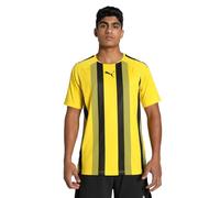 Puma teamLIGA Striped SS Shirt