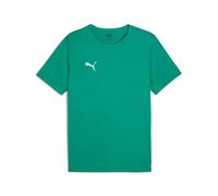 Puma Mens Teamrise Matchday Training T Shirt Drycell Green 706132 - Size Small