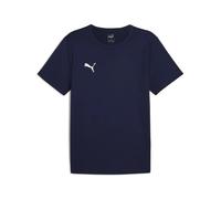 Puma Mens Teamrise Matchday Training T Shirt Drycell Navy 706132 - Size Small
