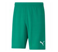 Puma Mens TeamRise Shorts