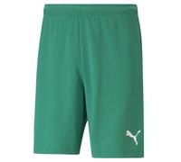 Puma Mens TeamRISE Shorts Football DryCELL Green 704942 - 2XL