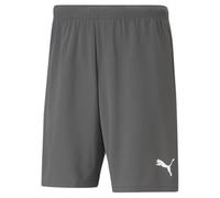 Puma Mens TeamRISE Shorts Football DryCELL Grey 704942 - Size Small