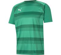 Puma Mens Teamvision Jersey T-Shirt in Green/Green/Wht - Size Medium