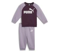 Puma Minicats Ess Raglan Set