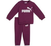 Puma Minicats Essential Tracksuit