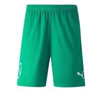PUMA Neymar Jr Football Shorts 'Green' 605570-07 XS