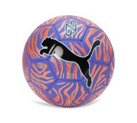 PUMA NEYMAR JR Graphic ball