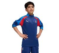 Puma Neymar Jr Playmaker Half Zip Sweatshirt