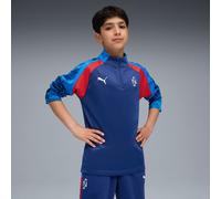 PUMA Neymar Jr Playmaker Quarter-Zip Football Top Shirt Youth, Blazing Blue/White/Ultra Blue, size 13-14 Youth