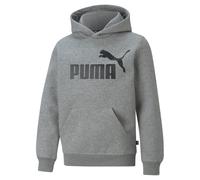 Puma No1 OTH Hoodie Junior Boys SB Grey