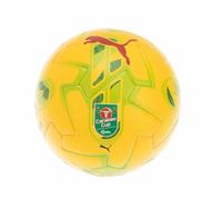 Puma Orbita 1 Caraboa Cup Football (5) (Yellow)
