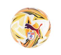 PUMA Orbita 1 Sky Bet Efl Football (Fifa Quality Pro), White/Gold/Black, size 5