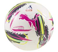 PUMA Orbita 6 Liga Portugal Football 2024 2025 White/Green Size 5