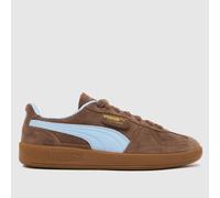 PUMA Palermo Trainers in Brown Multi UK 6 (EU 39)