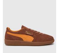 PUMA Palermo Trainers in Brown Multi UK 7
