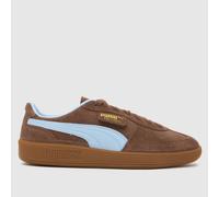 PUMA Palermo Trainers in Brown Multi UK 7 (EU 40½)