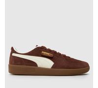 PUMA Palermo Trainers in Brown & White UK 3 (EU 35½)