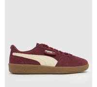 PUMA Palermo Trainers in Burgundy UK 5 (EU 38)