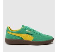 PUMA Palermo Trainers in Green Multi UK 5 (EU 38)