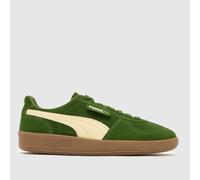 PUMA Palermo Trainers in Green UK 10 (EU 44½)