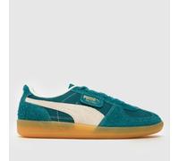 PUMA Palermo Trainers in Green UK 4 (EU 37)