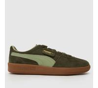 PUMA Palermo Trainers in Khaki UK 3 (EU 35½)