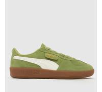 PUMA Palermo Trainers in Light Green UK 7.5 (EU 41)