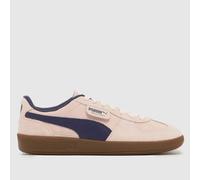PUMA Palermo Trainers in Pale Pink UK 7 (EU 40½)