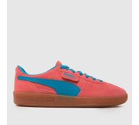 PUMA Palermo Trainers in Pink Multi UK 7 (EU 40½)