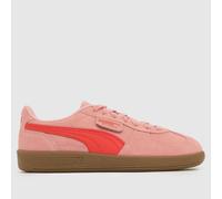 PUMA Palermo Trainers in Pink UK 7 (EU 40½)