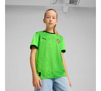 PUMA Portugal 2025 Short Sleeves Goalkeeper Jersey Youth, Green Pes/Black, size 11-12 Youth