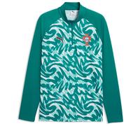 Puma Portugal 25/26 Pre Match Long Sleeve T-shirt