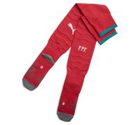 PUMA Portugal 25/26 Replica Home Socks EU 31-34