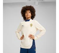 PUMA Portugal Quarter-Zip Training Top Shirt Youth, Sugared Almond/Persian Blue, size 13-14 Youth