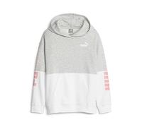PUMA POWER Colorblock Hoodie FL G Light Gray Heather