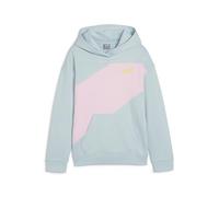 PUMA POWER Colorblock Hoodie TR G
