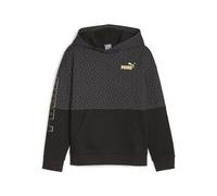 PUMA POWER LOGO LOVE Colorblock Hoodie G