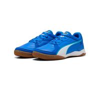 Puma Pressing Iv Indoor Football Shoes Blue EU 46 Men
