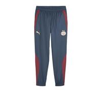 Puma PSV Eindhoven Men's Football Jogging Bottoms, Grey/Blue, 2023/24, blue, XS