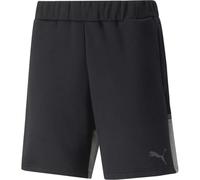 Puma Puma Teamcup Casuals Shorts Football Short Mens