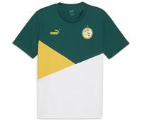 PUMA Senegal Men's Green Jersey 2024, Green, M