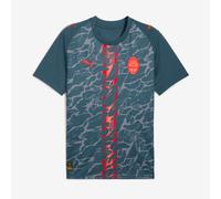 PUMA FC Shakhtar Donetsk 25/26 Away Jersey Men, Grey Skies/Neon Sun, size Large