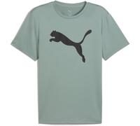 Puma Mens Train All Day Essentials T-Shirt Puma Black S
