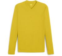 Puma Shirt TeamGoal Baselayer Tee Longsleeve 658777