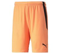 Puma teamLIGA Shorts